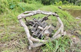 Delien’s initial plow design— made from local wood as he experimented with lower-cost ways to work the rice plots.