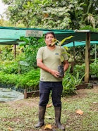 Luis Farfán stands among young copoazú seedlings in an agroforestry nursery.