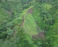 Aerial view of a small cultivated plot surrounded by dense green tropical forest on a steep hillside.