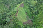 Aerial view of a small cultivated plot surrounded by dense green tropical forest on a steep hillside.