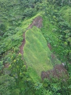 Aerial view of a small cultivated plot surrounded by dense green tropical forest on a steep hillside.