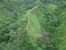 Aerial view of a small cultivated plot surrounded by dense green tropical forest on a steep hillside.