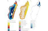 a, Range losses of species in Madagascar that are attributable to the USA according to Wiebe and Wilcove1. b, Drivers of tree cover loss across Madagascar5, illustrating the dominant role of subsistence shifting cultivation in driving tree cover loss across eastern Madagascar. c, Vanilla cropping is limited to northeastern Madagascar6, suggesting that vanilla cultivation can only affect a small proportion of species ranges for species distributed throughout eastern Madagascar. t, tonnes. Map of Madagascar made with Natural Earth (https://www.naturalearthdata.com)