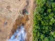 Deforestation in Amazon Rainforest - land being cleared and burnt for palm oil and rubber plantations