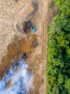 Deforestation in Amazon Rainforest - land being cleared and burnt for palm oil and rubber plantations