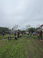 A school compost training session led by ATSC in rural Xayabury—learning that starts in the soil and carries back to classrooms and homes.