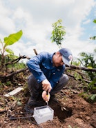 Alejandro Portillo, Senior Research Associate, installiert Bodenfeuchtesensoren bei der Asociación de Agricultura Ecológica.