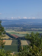 Blick über die Region Grosses Moos – hier setzt der Biotopverbund-Ansatz darauf, Lebensräume zu verbessern und zu vernetzen, statt nur einzelne, isolierte Flächen hinzuzufügen.
