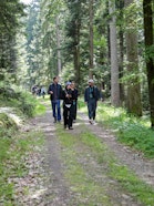 Wälder im Kanton Bern erbringen vielfältige Ökosystemleistungen und bilden eine Grundlage für eine nachhaltigere regionale Wertschöpfung mit Holz.