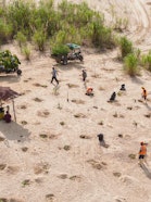 Pure Earth Reforestation Project