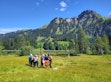 Feldbegehung im Rahmen des CAS Moorökologie.