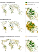 Drei Weltkarten, die zeigen, wo zusätzliche Schutzgebiete notwendig wären, um das globale Biodiversitätsziel 30x30 (Ziel 3 des Kunming-Montreal-Rahmens für biologische Vielfalt) unter drei verschiedenen Planungsszenarien zu erreichen. Bestehende Schutz- und Erhaltungsgebiete sind in Dunkelgrün dargestellt; für zusätzlichen Schutz vorgeschlagene Flächen sind in Orange hervorgehoben. Das biodiversitätsbasierte Szenario (oben) verteilt zusätzliche Flächen breit über alle Kontinente, mit deutlichen Schwerpunkten in Südamerika, Zentralafrika und Südostasien. Das NCP-basierte Szenario (Mitte), das den Beitrag der Natur für Menschen in den Vordergrund stellt, zeigt ein deutlich größeres und konzentrierteres Gebiet mit vorgeschlagenem Schutz, insbesondere im Amazonasbecken. Das Szenario für indigene und traditionelle Territorien (unten) verwendet ein helleres Orange für 1°×1°-Rasterpixel mit relevanten Territorien; die Abdeckung erstreckt sich auf tropische und subtropische Regionen weltweit. Detailkarten (A, B, C) zeigen Ausschnitte der Amazonasregion für jedes Szenario und verdeutlichen die markanten Unterschiede in Ausdehnung und räumlichem Muster zwischen den Ansätzen.