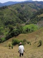 A farmer stands on a hillside overlooking a valley in northeastern Madagascar, with rice paddies visible in the distance and a mosaic of grassland, scattered trees, and forested slopes stretching across the landscape.