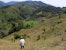 A farmer stands on a hillside overlooking a valley in northeastern Madagascar, with rice paddies visible in the distance and a mosaic of grassland, scattered trees, and forested slopes stretching across the landscape.