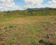 Shifting Cultivation in Mahalevona, Madagascar
