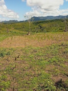 Shifting Cultivation in Mahalevona, Madagascar