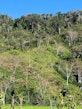 Shifting Cultivation, Mahalevona Valley