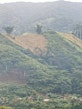 Slash and Burn for cultivation in Mahalevona