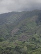 Slash and Burn for cultivation in Mahalevona