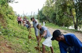 Ahead of the planting action, the community prepared one day earlier, by pre digging the holes.