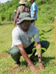 Reforestation campaign initiative, commune of Mahalevona, Madagascar