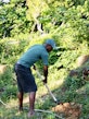 Community member digging to plant tree seedlings, Mahalevona, Madagascar