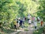 The community of Mahalevona planting over 1,200 trees in Fizono, Madagascar