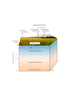 Influence of soil organic carbon on water balance components. Conceptual illustration showing changes in the soil column and hydrological processes due to increased soil organic carbon.