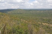 Vegetation in Samburu County
