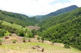 Eine Mosaiklandschaft im Dorf Nam Kwang in Pua, wo Wälder, Reisfelder und Obstgärten im bergigen Gelände der Provinz Nan nebeneinander bestehen