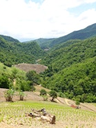 A mosaic landscape in Nam Kwang Village in Pua, where forests, rice fields, and fruit farms coexist within the mountainous terrain of Nan Province
