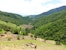 A mosaic landscape in Nam Kwang Village in Pua, where forests, rice fields, and fruit farms coexist within the mountainous terrain of Nan Province