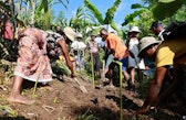 Training and agroforestry system set up to showcase how it works, Mahalevona, Madagascar
