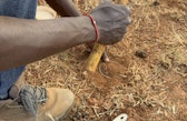 Menita Kupano from Green Earth Warriors, who is one of our local partners in the project, is using a soil corer ring to collect soil samples to be able to measure soil bulk density, in Lower Naibunga Community Conservancy, Laikipia, Kenya