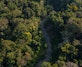 Drone view of the Madre de Dios River, a wide tropical waterway flowing through the Peruvian Amazon, surrounded by dense rainforest and natural wildlife habitat