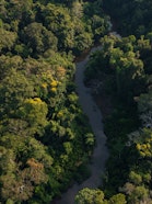 Drone view of the Madre de Dios River, a wide tropical waterway flowing through the Peruvian Amazon, surrounded by dense rainforest and natural wildlife habitat