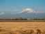 Scenic panoramic view of the majestic snow-capped Mount Ararat and Little Ararat rising above rural houses, captured from Zvartnots International Airport