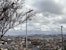 View across the densely built hills of Antananarivo beneath a cloudy sky, with a roadside tree, streetlights, and power lines in the foreground.