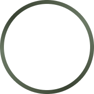 color icon
