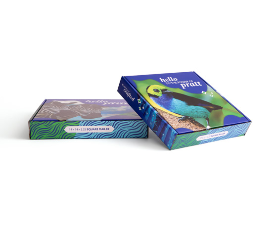 Custom Square Mailer Boxes