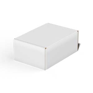 $1 Sample Mailer Box