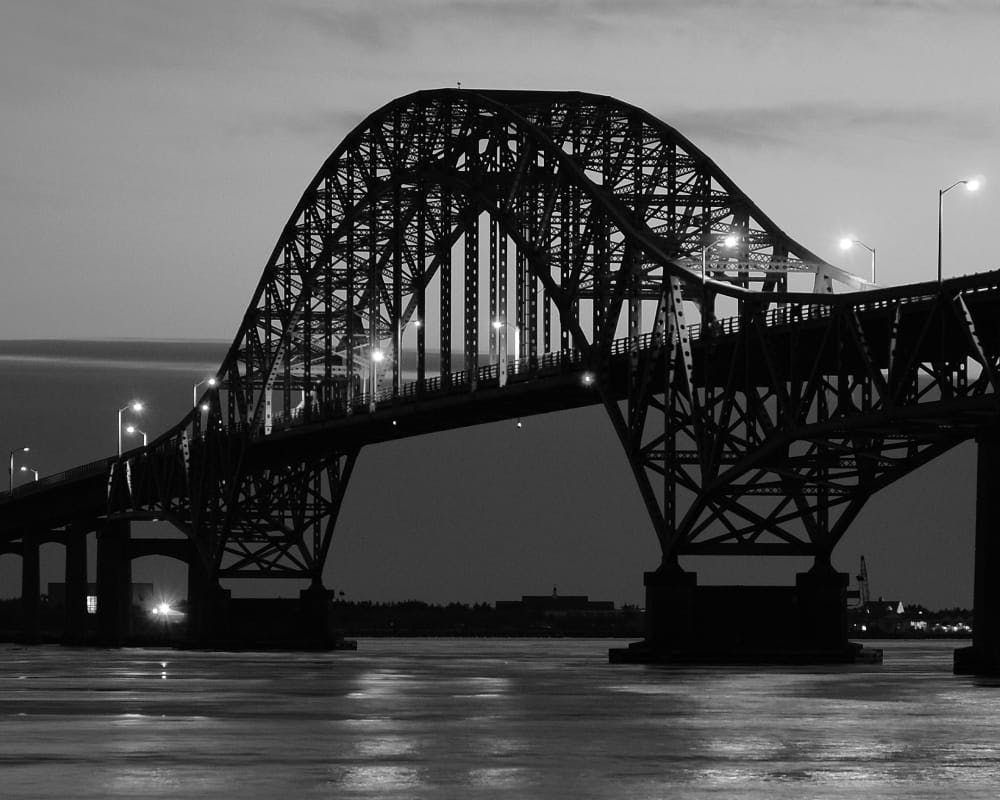 greyscale of giant bridge over water