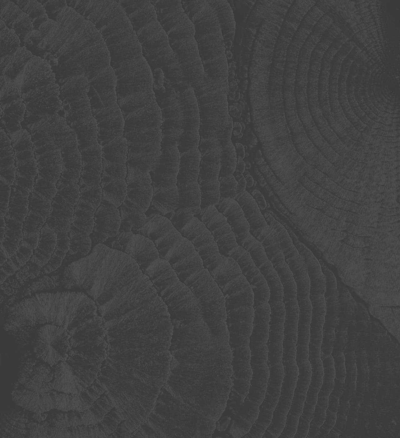 Gray, stylish background