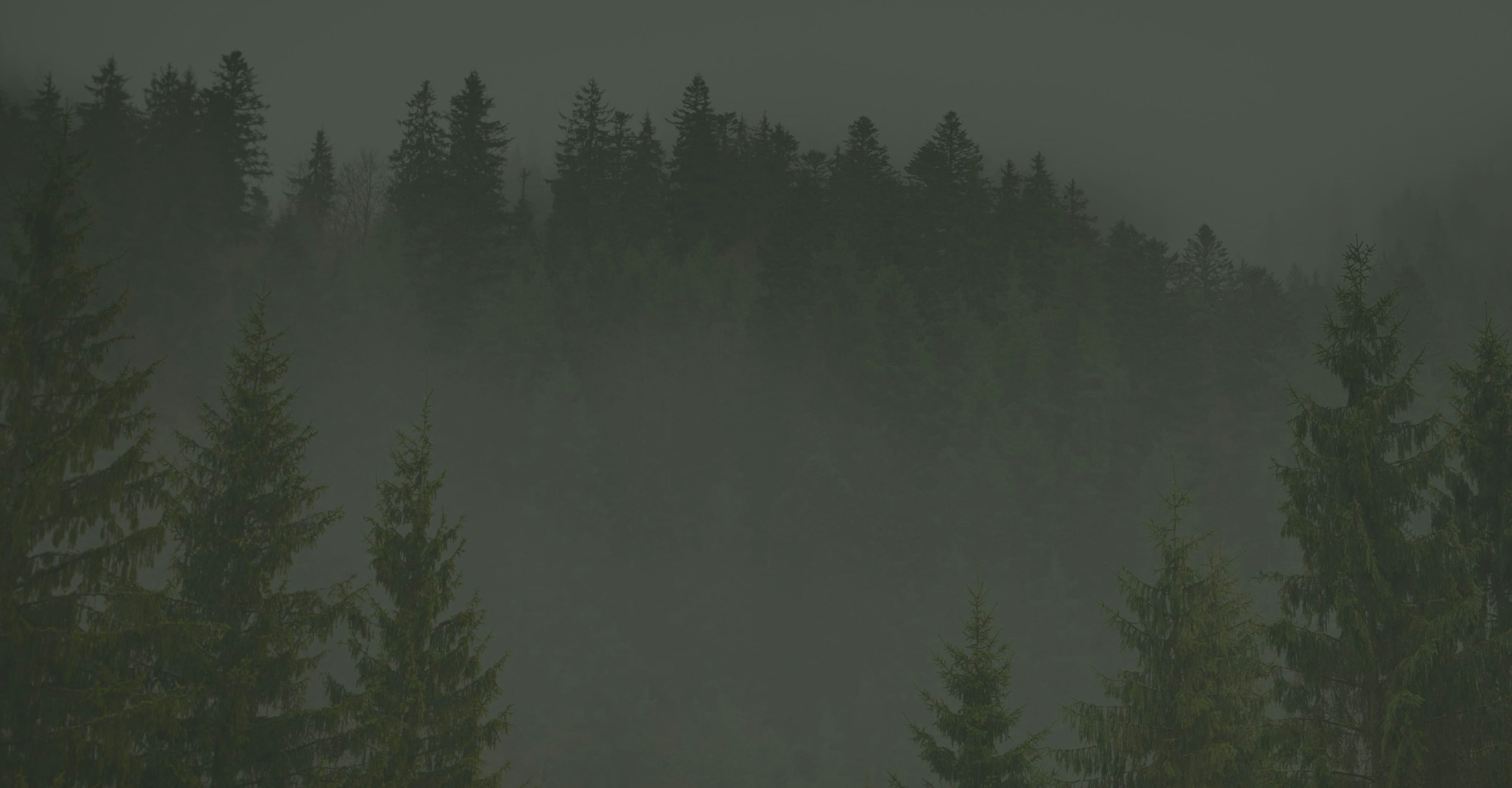 Banner media