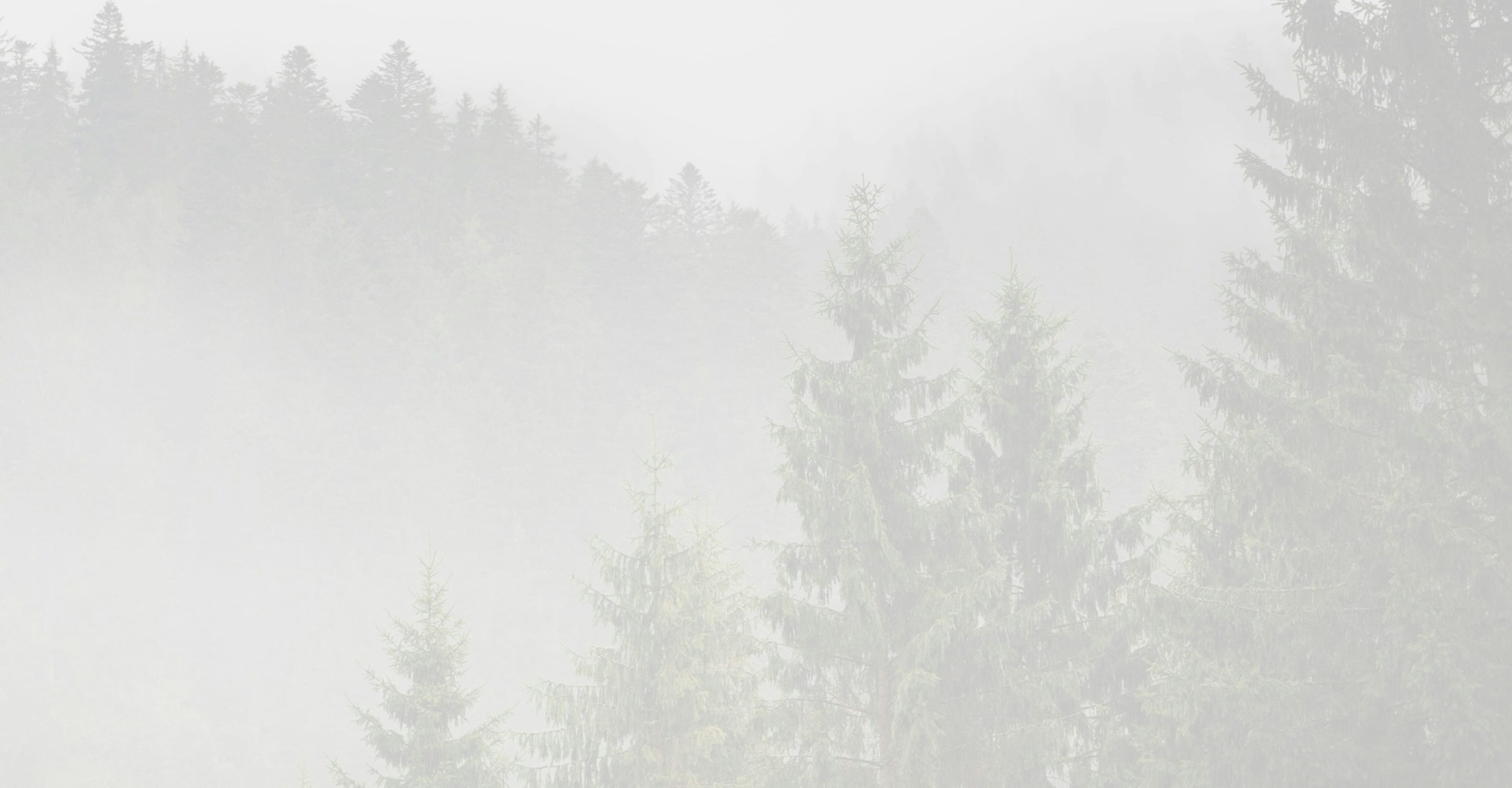Banner media