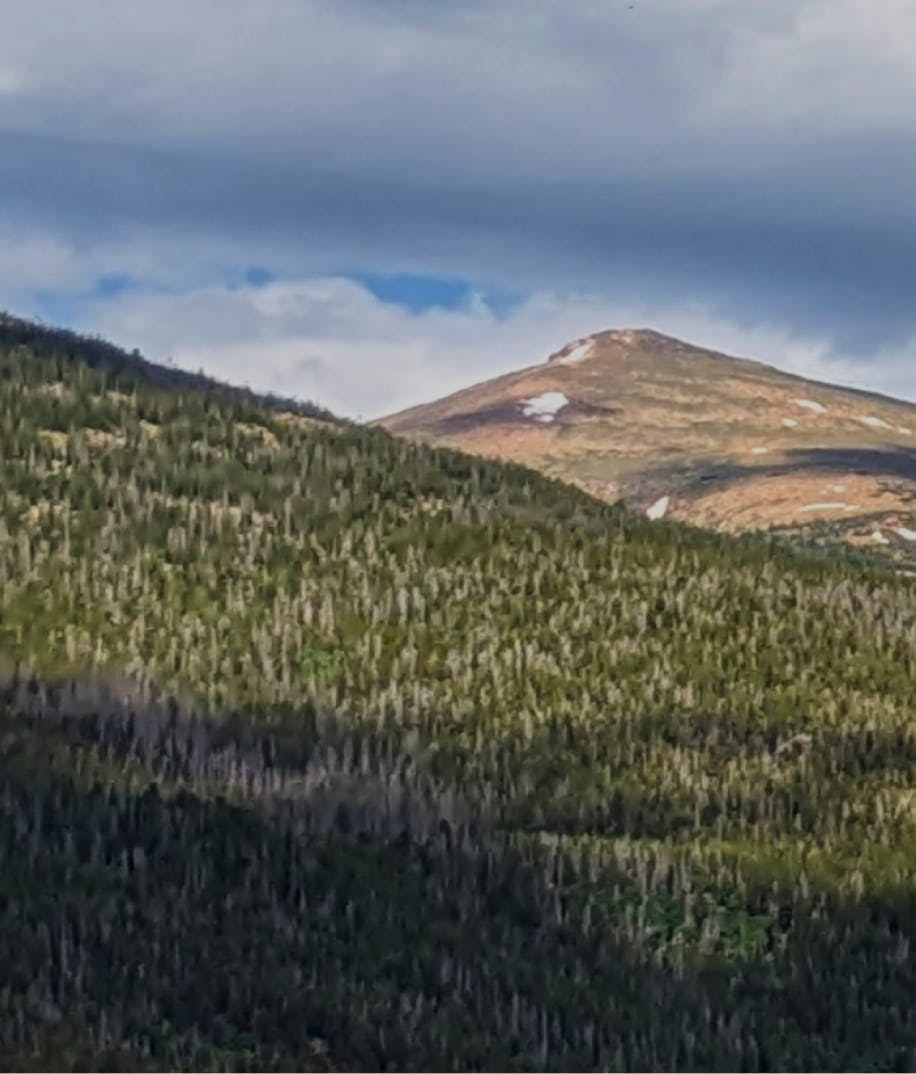 Mountains