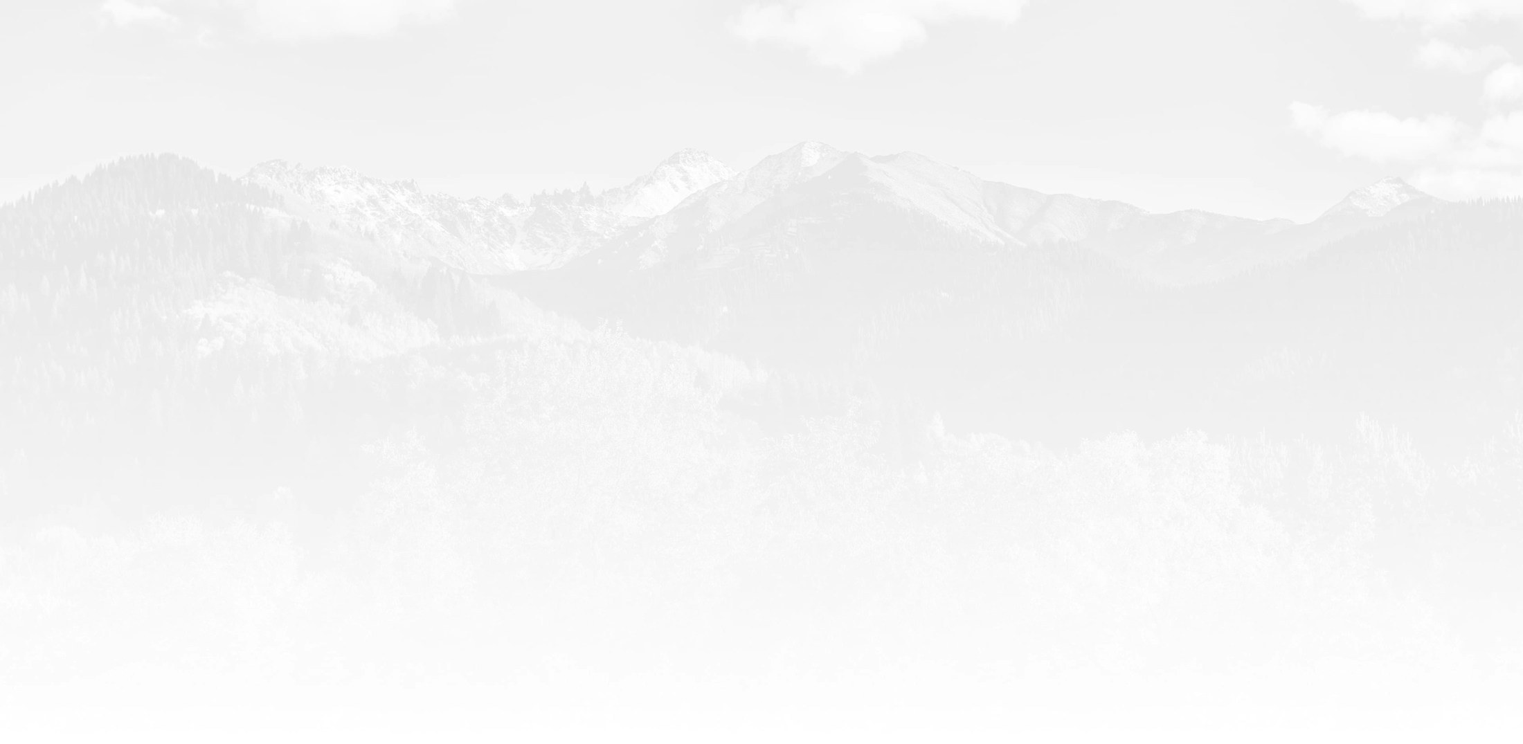 Banner media