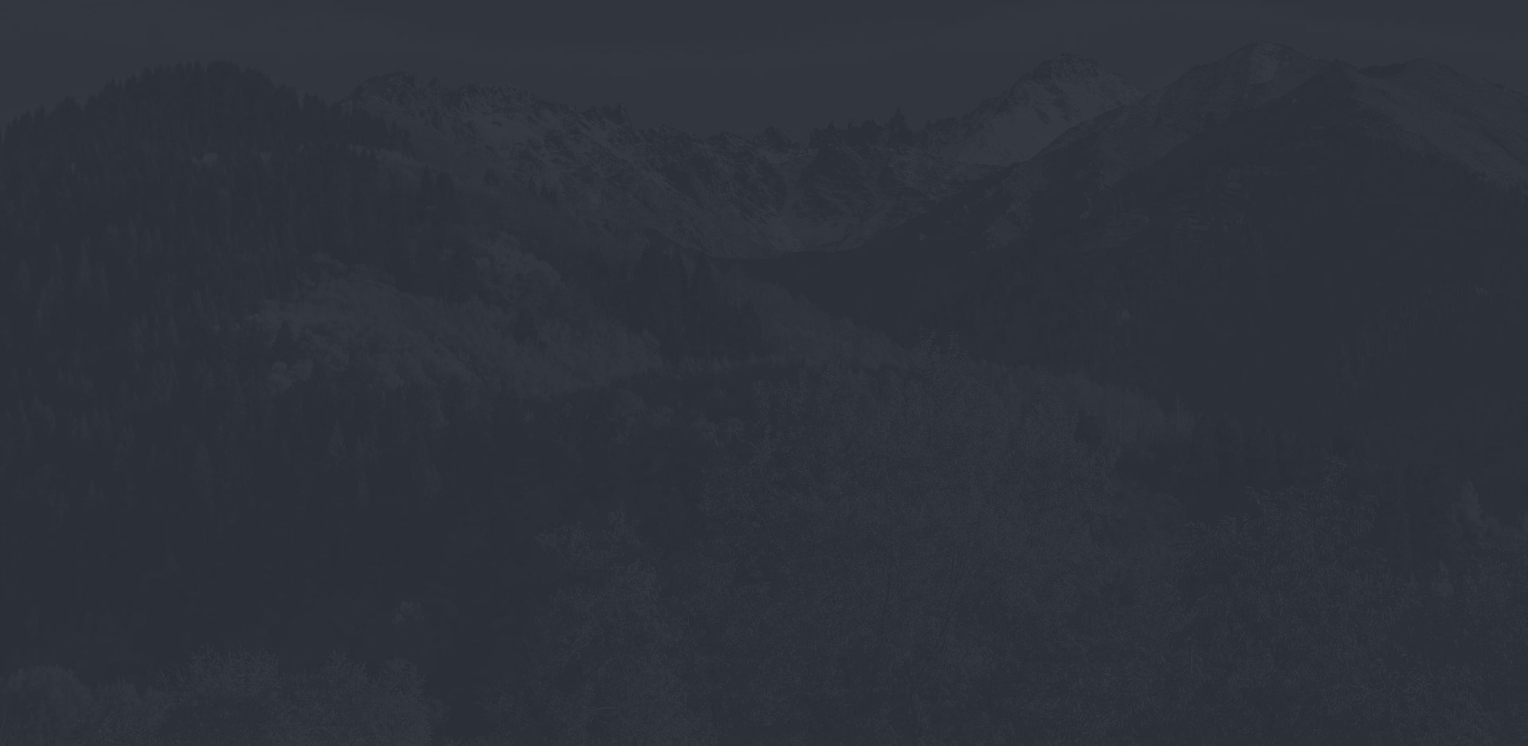 Banner media