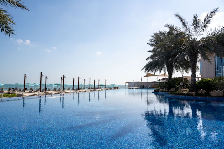 Infinity pool with palm trees, overlooking the ocean and clear blue sky.