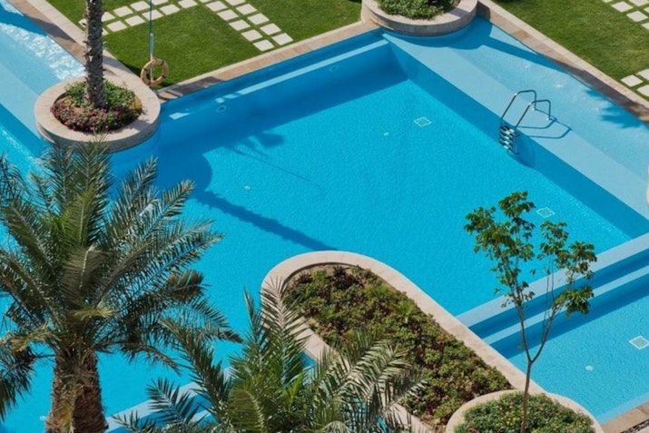 Swimming pool surrounded by palm trees and landscaped garden.
